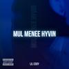 Mul Menee Hyvin (Explicit) - Lil Eddy