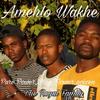 Amehlo Wakhe - Blaq Flower 29&Poizen&Pure Power