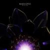 Black Lotus - Matteo Tura