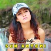 Sun Anteni - Denik Armila