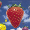 Lucky You - The Lightning Seeds