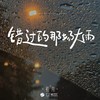 错过的那场大雨 - 初月