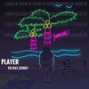 Player（Feat.ZECKEY） - Yg&ZECKEY