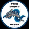 Disco Flavor (Original Mix) - JP Torres