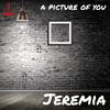 a picture of you - Jeremia