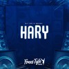 Hary - DjLzr o Brabo&FreesTyle Sounds