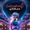 Coconut - Dj Goja&Evangelos Siakas&Ovidiu Marius Goja