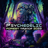 Ground Control - Psynecdoche