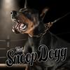 Big Dogg (feat. Snoop Dogg) (Explicit) - Riballin&Snoop Dogg
