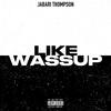 Like Wassup (Explicit) - Peri OD