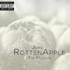 Rotten Apple (feat. Ramma|0 to 100 remix|Explicit) - Juke&Ramma