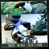 Medicated (Explicit) - High Rollaz&Phalon&Dat Boi T