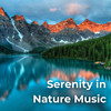 Endless Horizon - Nature Sounds Natural Music&Baltic Nature Sounds&The Nature Songs&B-Tribe&Solyma&Dagda&Cosmic Nirvana&Enam&Ashra&Arhaa Doak&Gates Of Heaven&Old Futures&Mellow In Blue