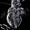 Chrome Heart (Explicit) - DOXXTR
