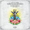 Ambitous Desires (Rich Towers Remix) - The Funk Fabric&Rich Towers