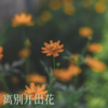对面小姐姐（电子琴） - 余秋水