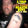 Z-Trip Presents All-Access: A Beastie Boys Megamix (Clean) - Z-Trip