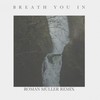 Breath You In - Roman Müller&Ficci&Laura Hahn