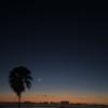 3am (Explicit) - Rosado