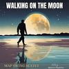 Walking on the moon (feat. Marco Pasetto) - Map Swing Sextet&Marco Pasetto