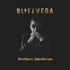 Pass The Gun (Album Version) - BLITZ VEGA&Z-Trip&KAV&Andy Rourke