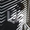 Sang - Lạc - #SSdaRealest
