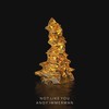 Not Like You - Andy Immerman