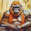 LOOKING FOR PEACE - Hadji