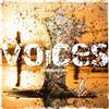 Voices (Extended Mix) - Nelson Norman