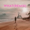 WHAT (Remix) - Rnbstylerz