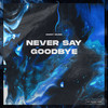 Never Say Goodbye - Godoy Music