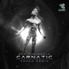 Carnatic (Tokah Remix) - Sonic Massala&Tokah