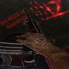 5platt (Explicit) - SLZ