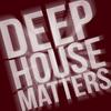Put the House Back in It (Original Mix) - Joe Skin