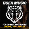 This Is The Drop (Original Mix) - Brasslover