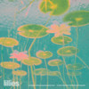 lillies - HeVeL