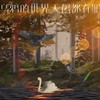 乌鸦的世界天鹅都有罪 (烟嗓男版) - 言川