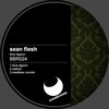 Needless Counter (Extended Mix) - Sean Flesh
