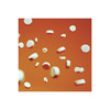 Pills (Explicit) - Rra