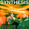 Synthesis - Vanriksem&Groove Lab