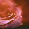 Roses In Rain - n_cpx