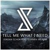 Tell Me What I Need - Jordan Schor