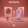 Can I Love You - Masked&Roxana