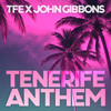 Tenerife Anthem - TFE&John Gibbons