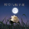 野草与栀子花 - 任夏