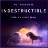 Indestructible (完整版|Star-D & Leone Remix) - Star D&Leone&Not Your Dope