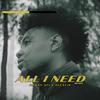 all i need (feat. Alexcis) (Remix) - Danny Ali&Alexcis