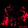 Night of the Demons (Explicit) - XSNX MSCX&MKnight