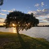 Summer Willow (Acoustic Version) - Stevie Jay