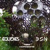 New Horizons - EQUiDiES&DSN